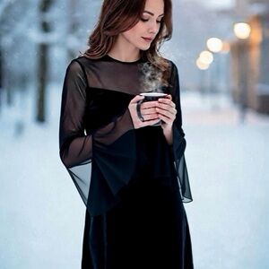 Black Long Sheer Sleeve Dress